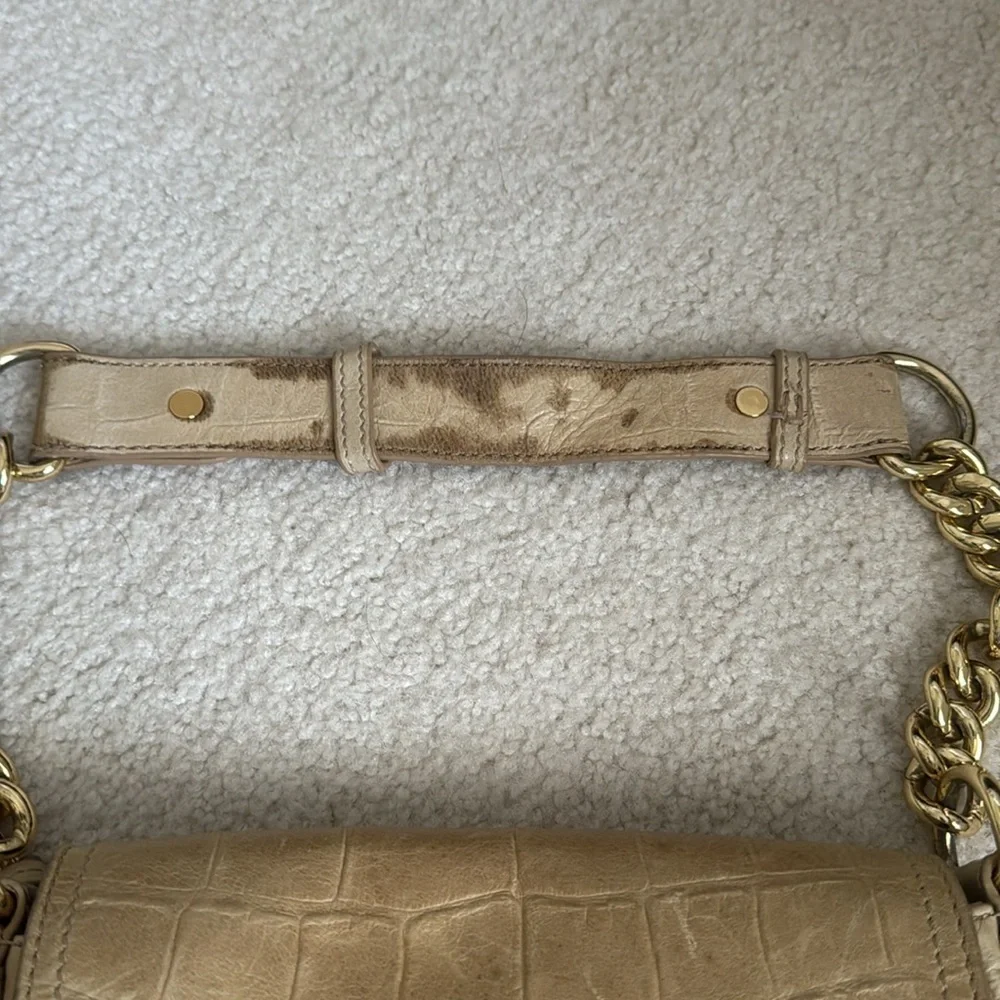 Badgley Mischka purse